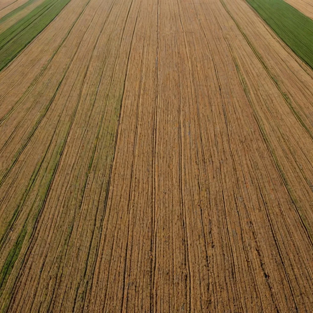 Ile kosztuje hektar ziemi w Wielkopolsce? Aktualne ceny